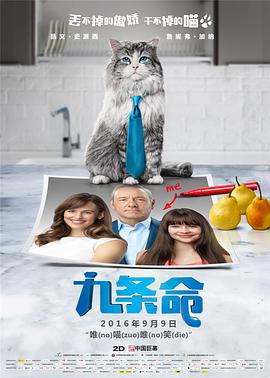 久久精品亚洲精品国产欧美kt∨